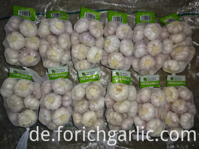 Normal White Garlic Of Fresh 2019